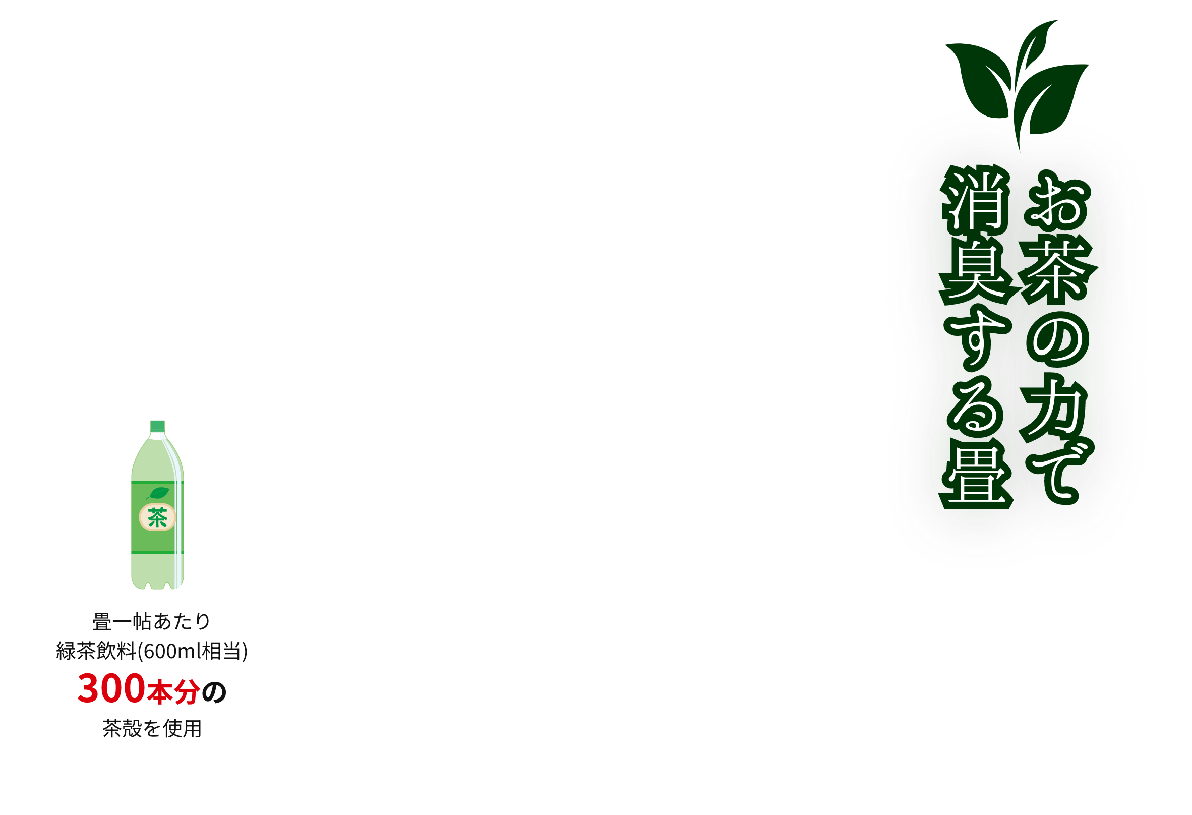 ケガを防ぐ柔道専用畳